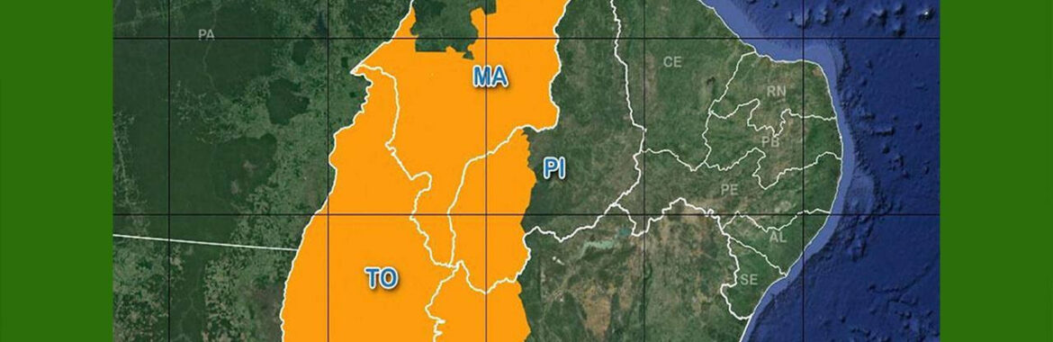 Descobrindo o Tesouro Verde do Brasil: As Oportunidades Inexploradas do Matopiba