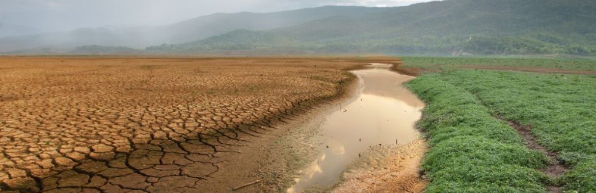 Impactos Climáticos Severos Ameaçam Colheitas na Europa em 2024: Seguro Rural se Torna Essencial para Proteção dos Produtores