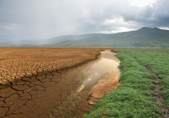 Impactos Climáticos Severos Ameaçam Colheitas na Europa em 2024: Seguro Rural se Torna Essencial para Proteção dos Produtores