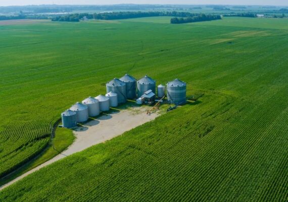 Oportunidade Para Produtores e Investidores: Diminuição da Taxa de Juros no EUA e o Agronegócio!