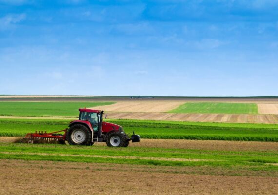 Oportunidade de Crescimento no Agronegócio Brasileiro: Grupo New Alliance Expande suas Operações no Centro-Oeste e Além