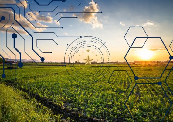 Inovações no Financiamento Agrícola: O Futuro das Fintechs no Campo